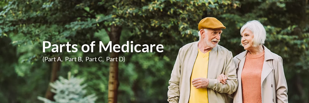 Medicare Parts (Part A, Part B, Part C, Part D) | Medigap.com